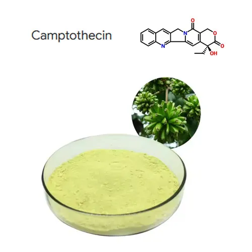 Augsta tīrība 98% camptothecin augu ekstrakta pulveris CAS 7689-03-4